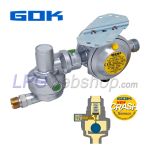 Regulador de presión GOK Caramatic DriveOne 30mbar 1,5 kg/h - Horizontal M20x1,5