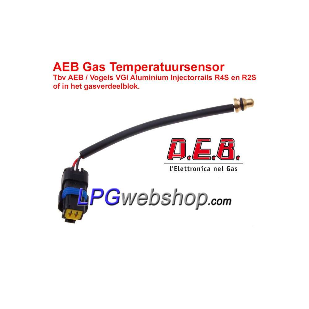 Sensore temperatura gas AEB per rail iniettori AEB / VGI R4S e R2S Sensore temperatura gas AEB per rail iniettori AEB / VGI R4S e R2S