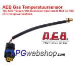 AEB Rail Temperature Sensor - AEB / VGI Injector Rail