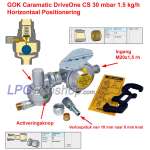 Regulador de presión GOK Caramatic DriveOne 30mbar 1,5 kg/h - Horizontal M20x1,5
