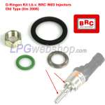 O-Ringenset Kit t.b.v. IN03 BRC injectors oude Type (t/m 2008)
