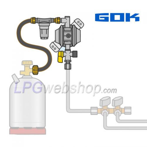 Juego de regulador de presión GOK EN61-DS para 1 bombona de gas o 1 depósito de gas de vapor con conexión Shell tipo W21.8 G.12