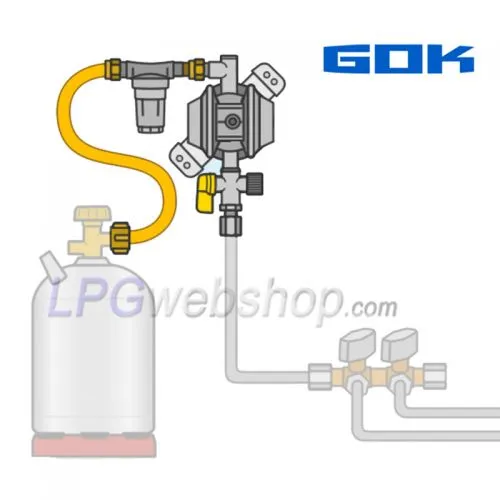 Pressure regulator set GOK EN61-DS + Filter + High pressure hose for 1x Gas bottle with Shell connection W21.8