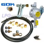 Juego de regulador de presión GOK EN61-DS para 2 depósito de gas de vapor con conexión de compresión de 8 mm o grifo depósito UN