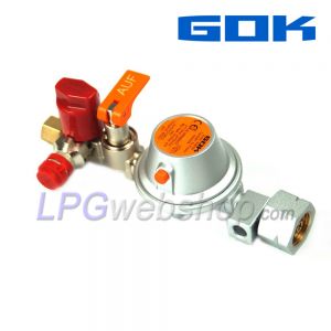 Détendeur de pression GOK EN61 - 50mbar 1kg/h - Shell Kombi.A W21,8 x RVS 8mm