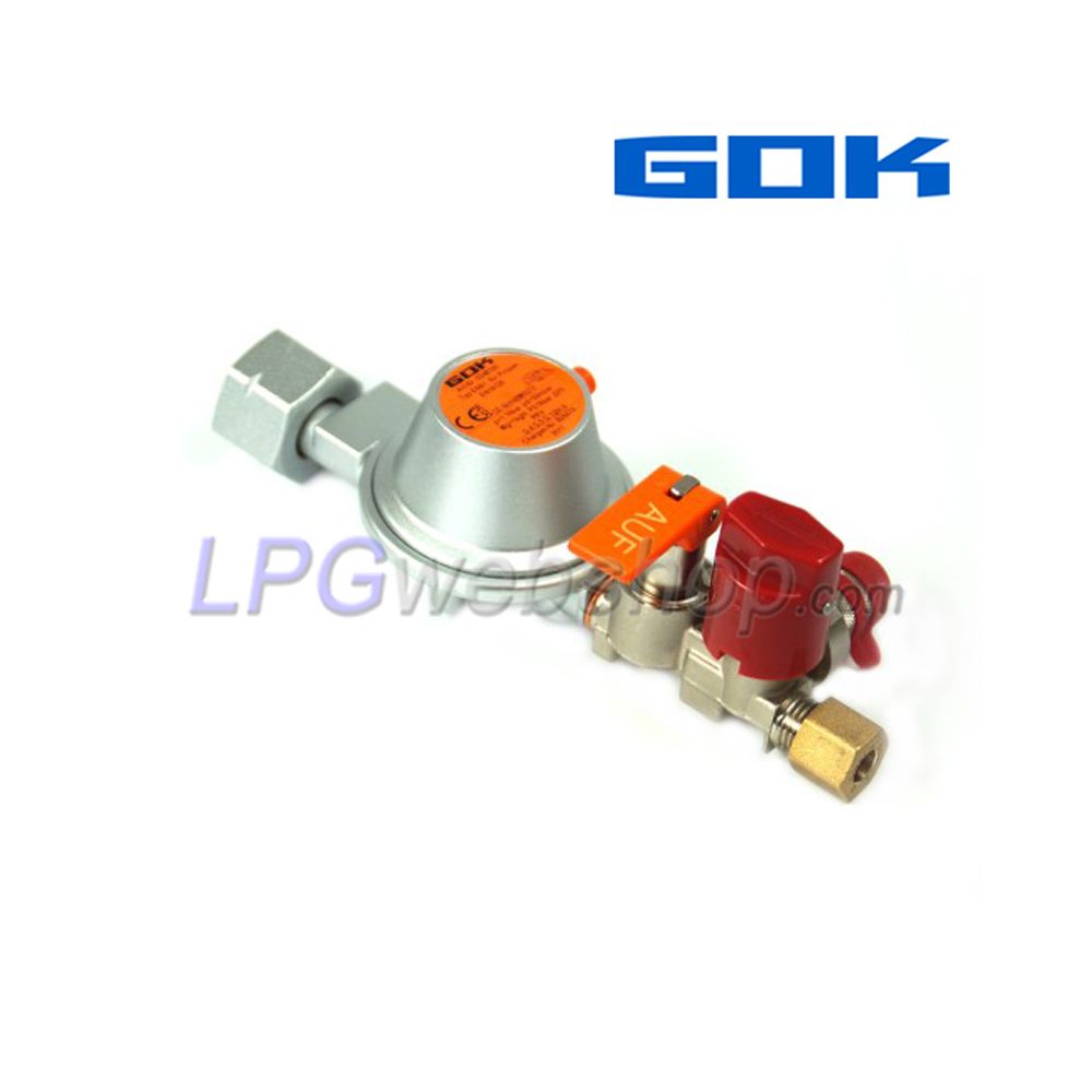 Regolatore di Pressione GOK EN61 - 50mbar 1kg/h - Shell Kombi.A W21,8 x RVS 8mm Regolatore di Pressione GOK EN61 - 50mbar 1kg/h - Shell Kombi.A W21,8 x RVS 8mm