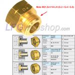 Adapter D4 - Female SHELL Kombi W21.8x1/14LH x Male (G.2/G.4/G.8) W21.8x1/14LH (BE,FR,CH,GB,IE,ES...)